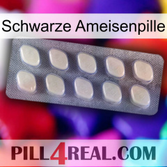 Black Ant Pill 08